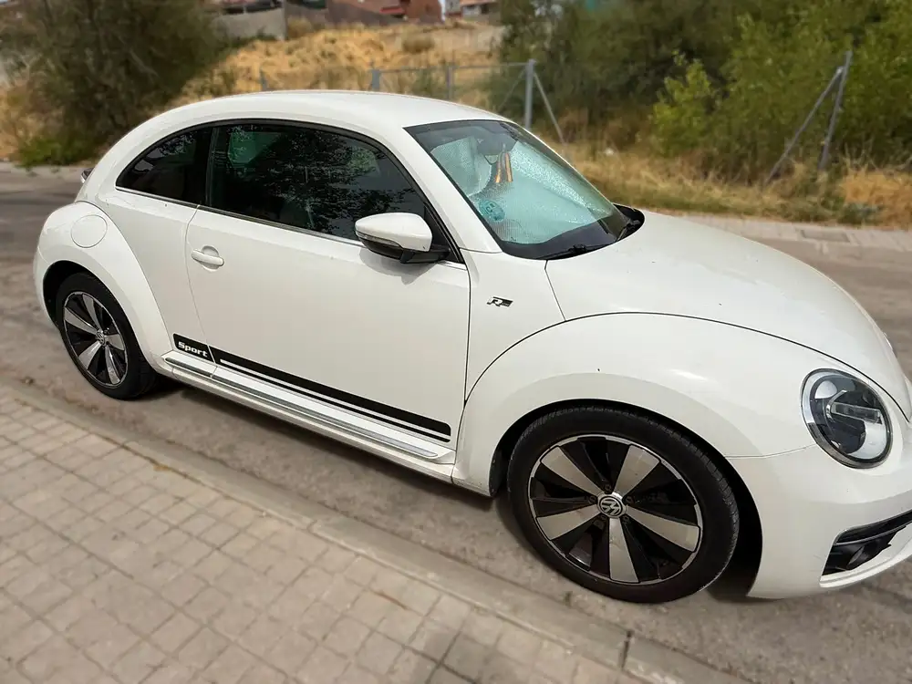 VOLKSWAGEN beetle