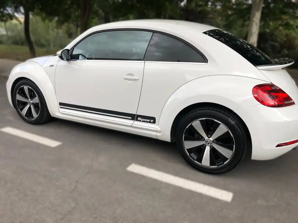 VOLKSWAGEN beetle
