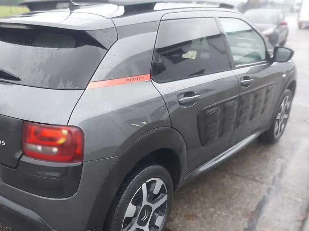 CITROEN c4 cactus