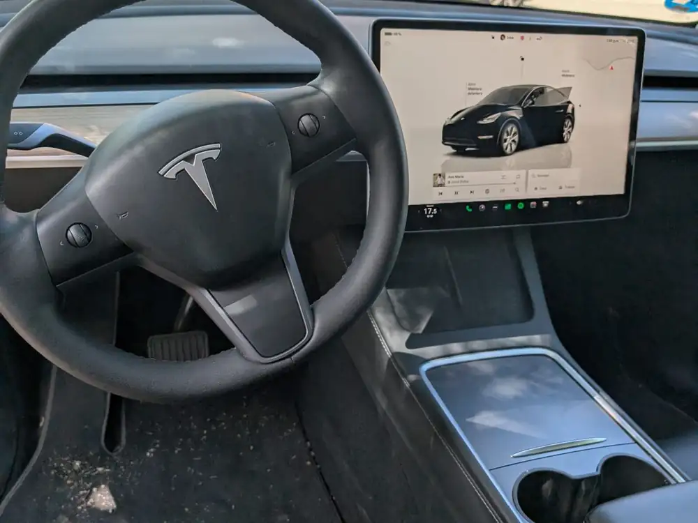 TESLA model y