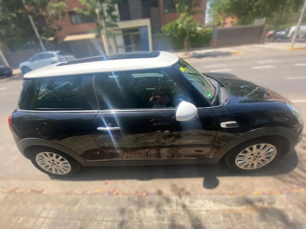 MINI mini