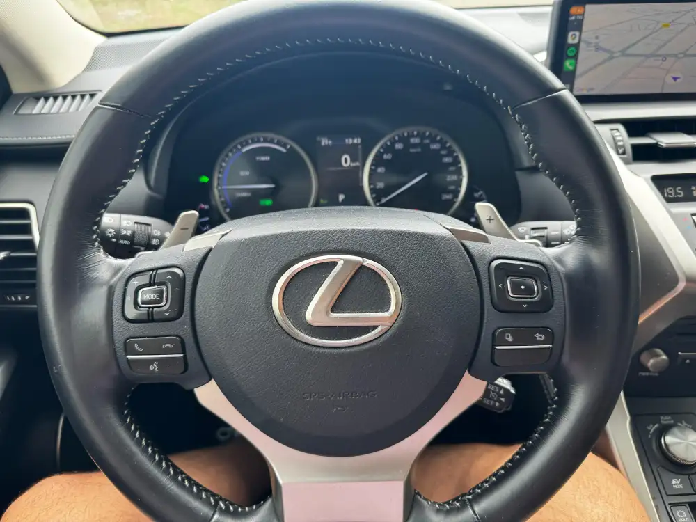 LEXUS nx