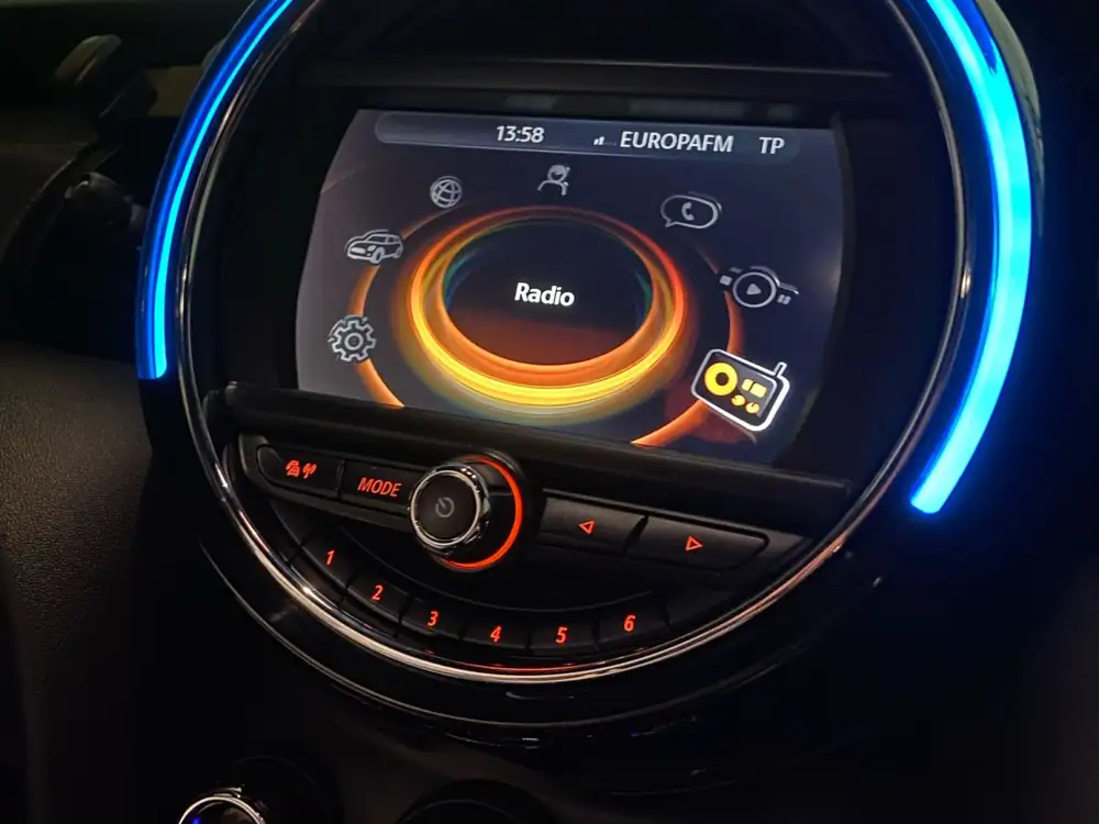 MINI mini