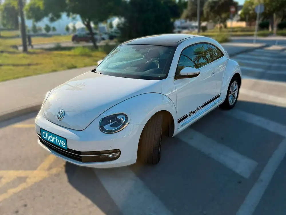VOLKSWAGEN beetle