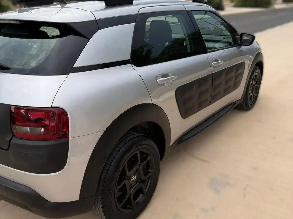 CITROEN c4 cactus