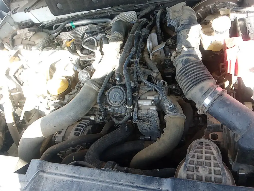 NISSAN juke - Foto 13 | Clidrive