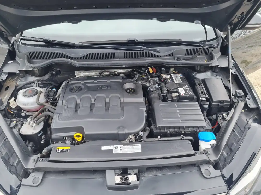VOLKSWAGEN golf sportsvan