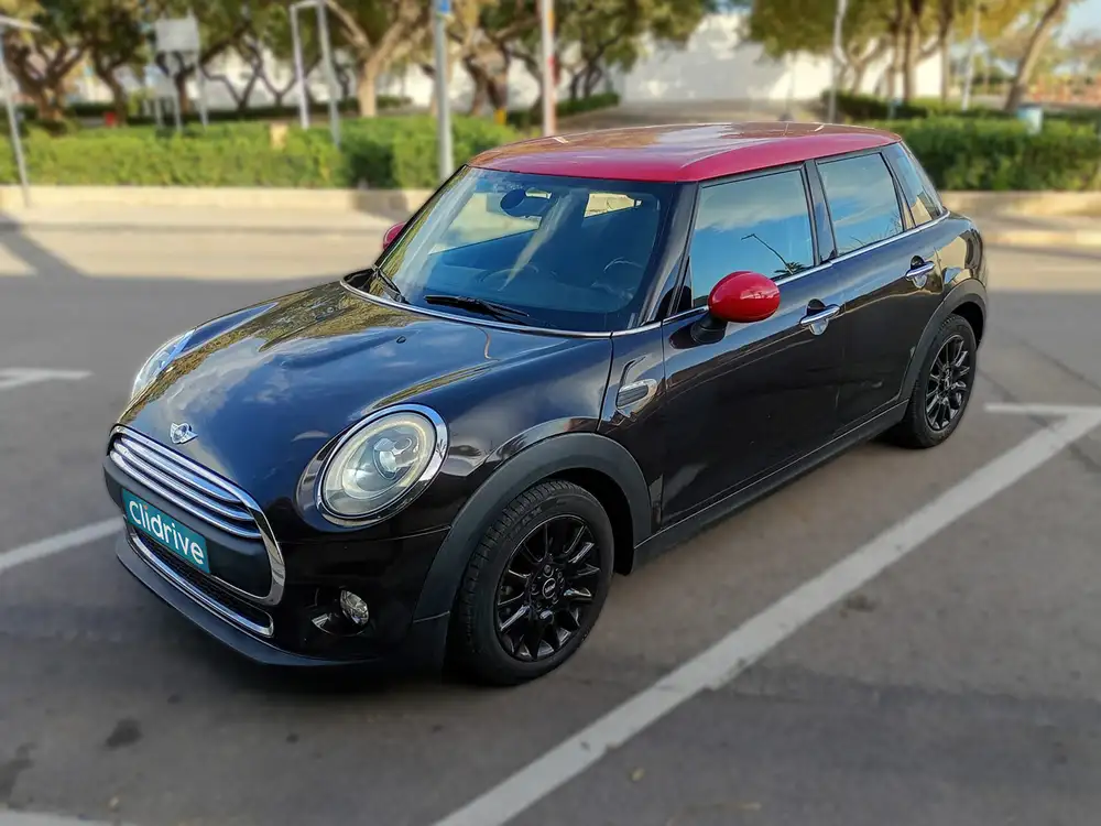 MINI mini