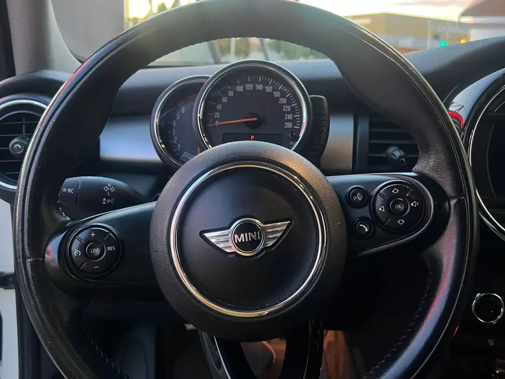MINI mini