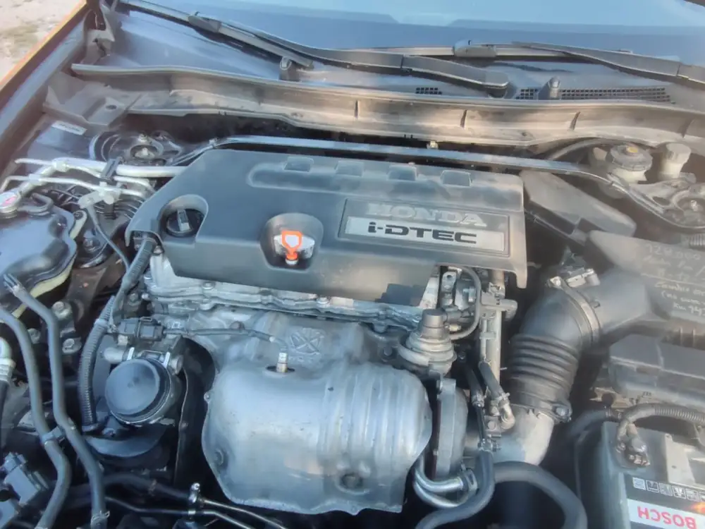 HONDA accord