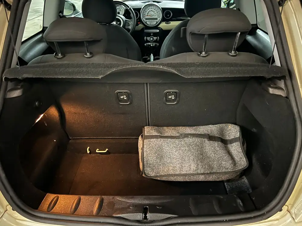 MINI mini