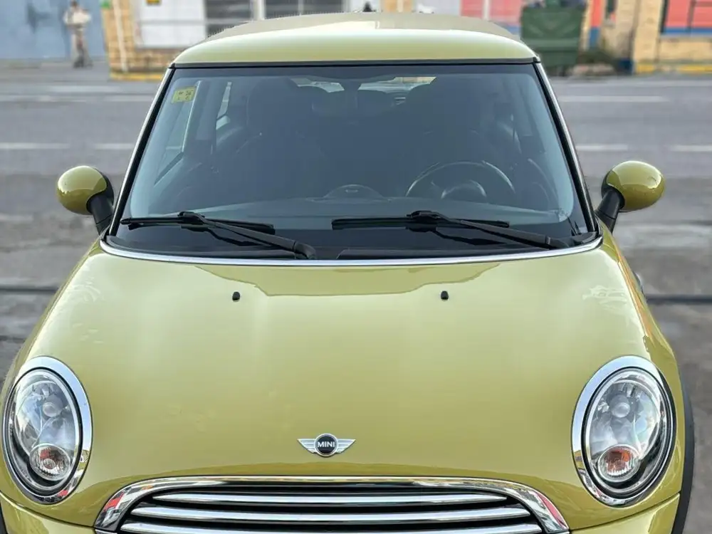 MINI mini