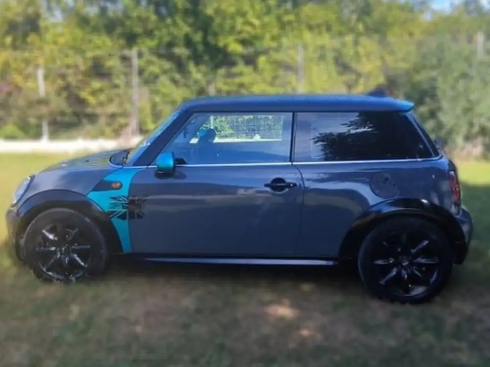 MINI mini