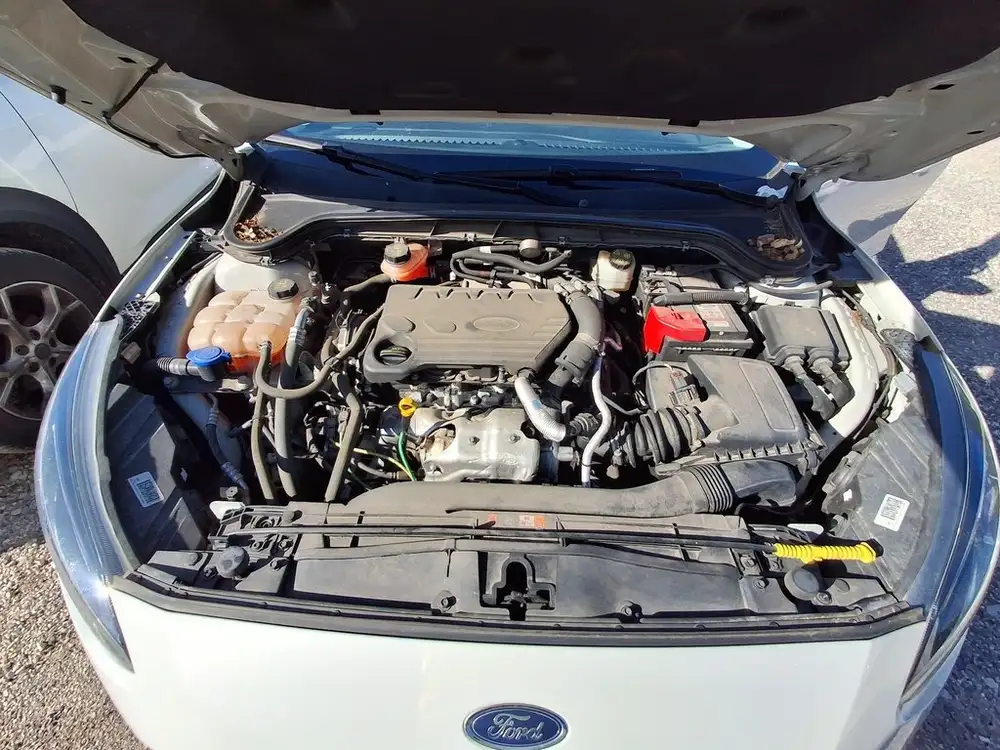 FORD focus - Foto 14 | Clidrive
