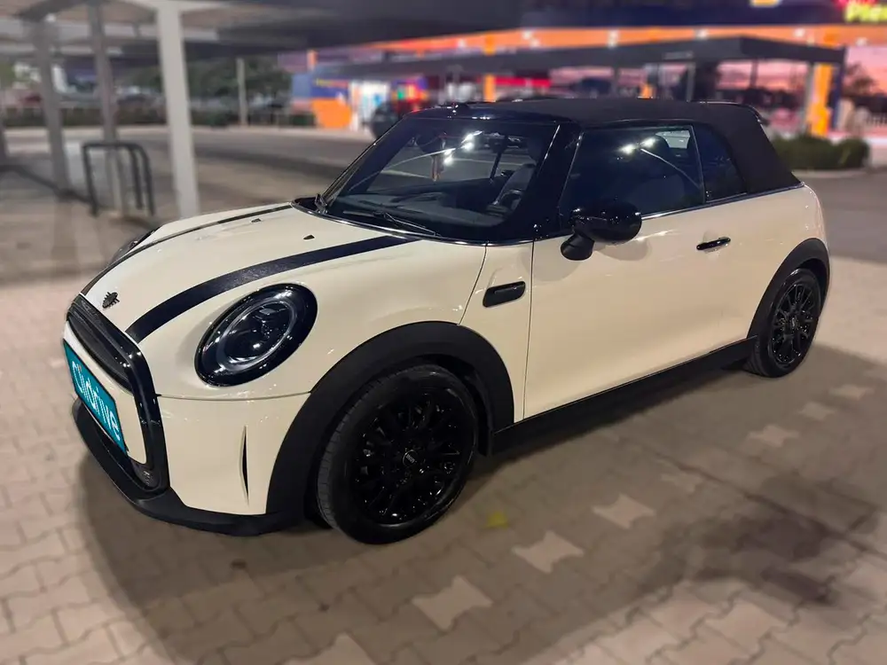 MINI mini