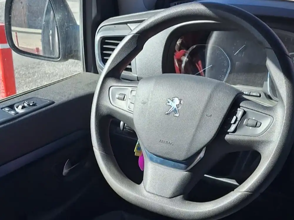 PEUGEOT traveller