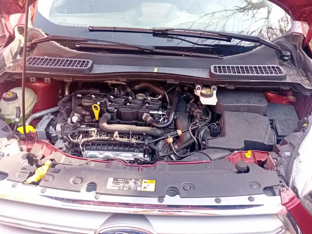 FORD kuga