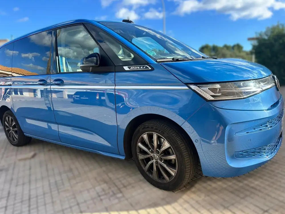 VOLKSWAGEN multivan