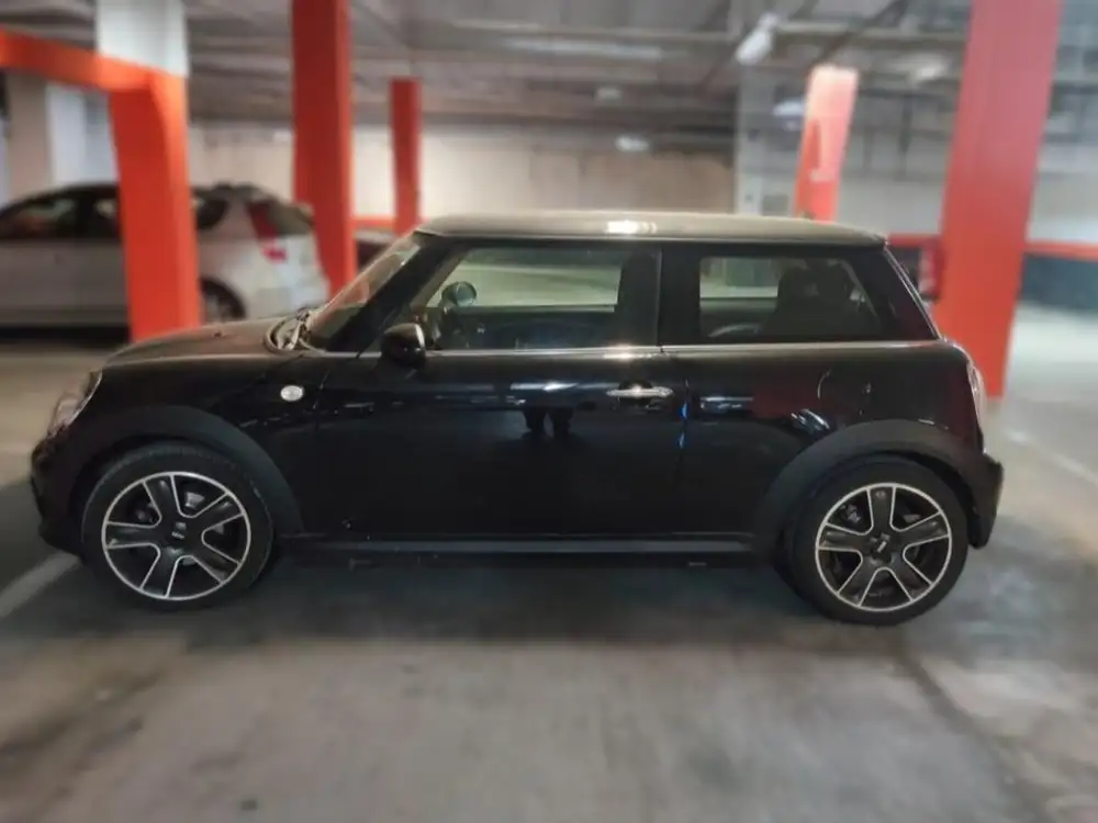 MINI mini