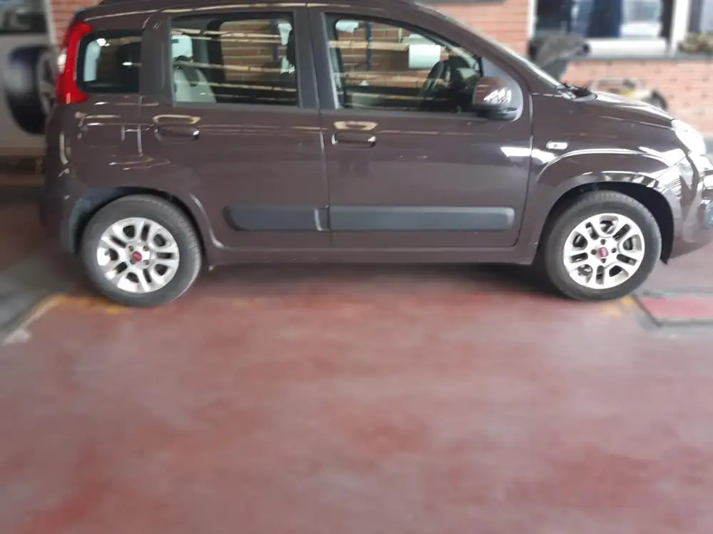 FIAT panda