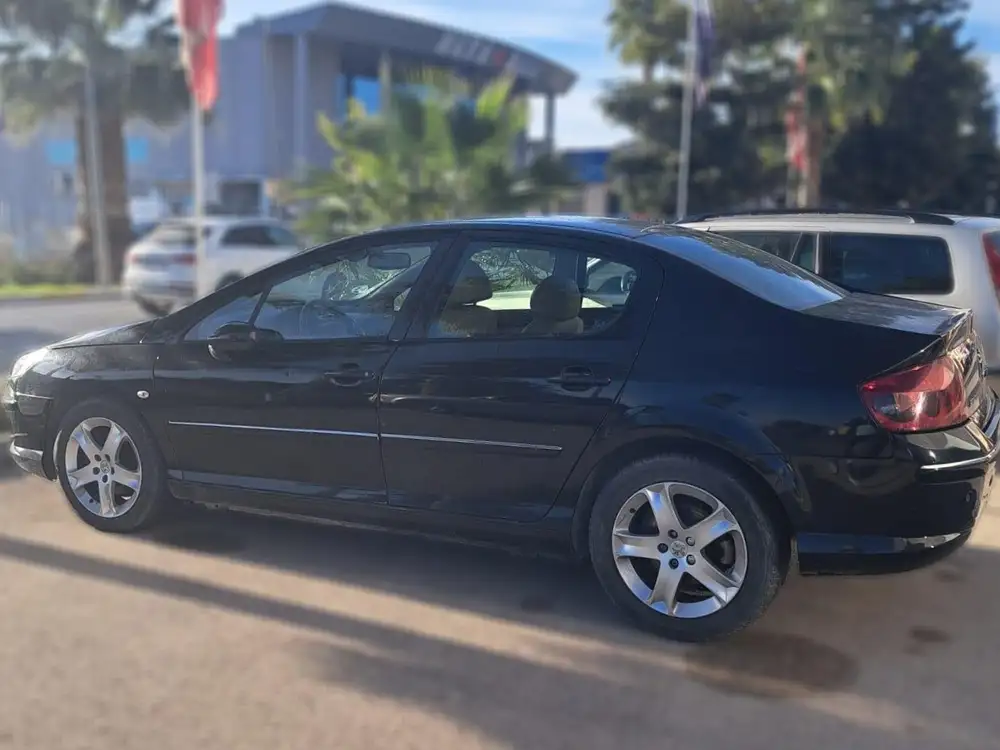 PEUGEOT 407