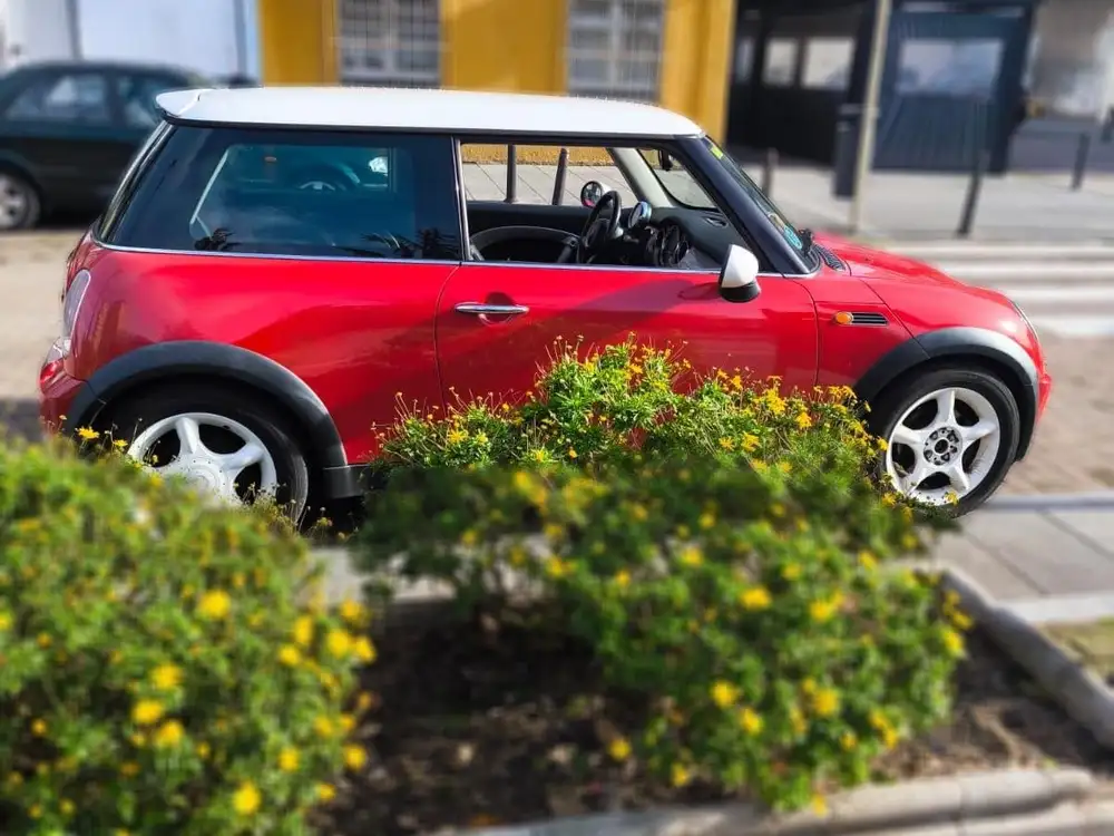 MINI mini