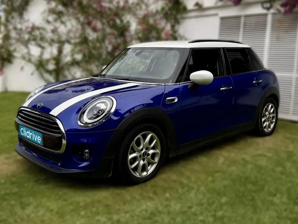 MINI mini