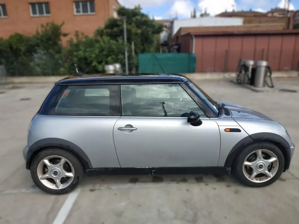 MINI mini