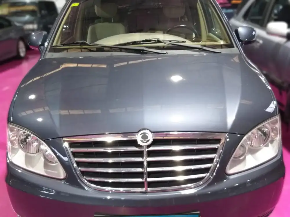 SSANGYONG rodius