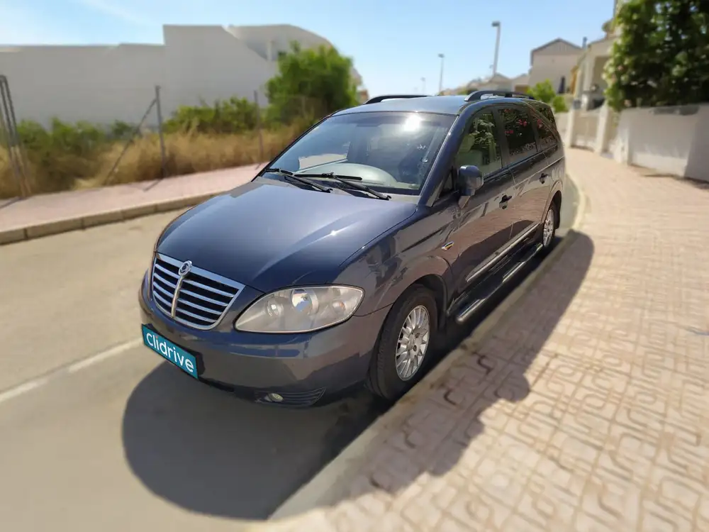 SSANGYONG rodius