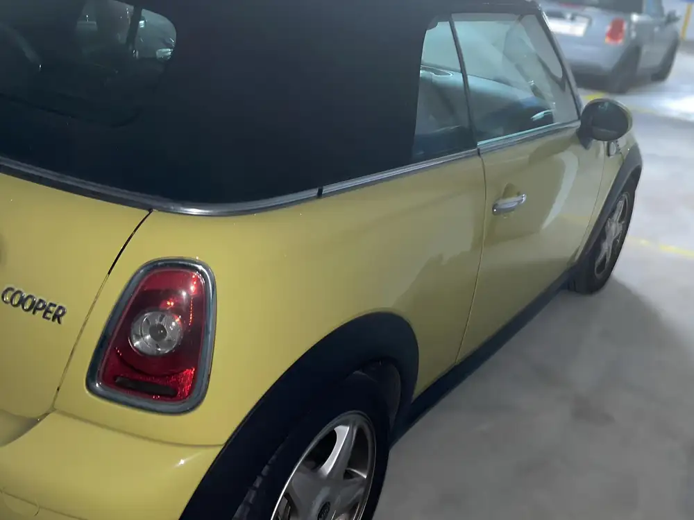 MINI mini
