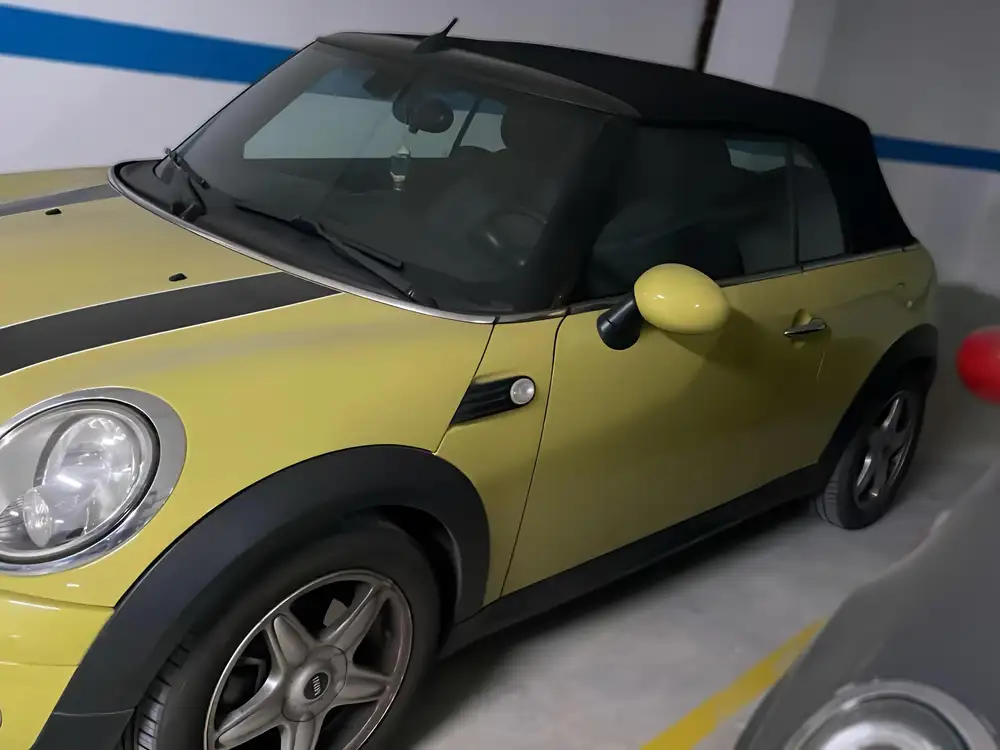 MINI mini