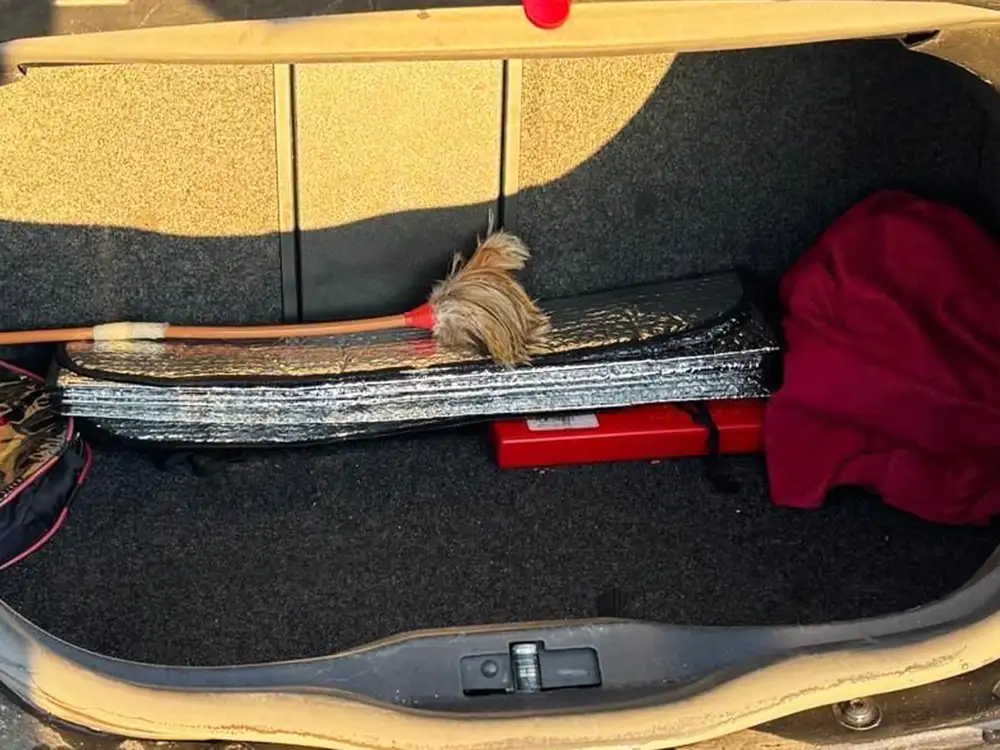 VOLKSWAGEN new beetle