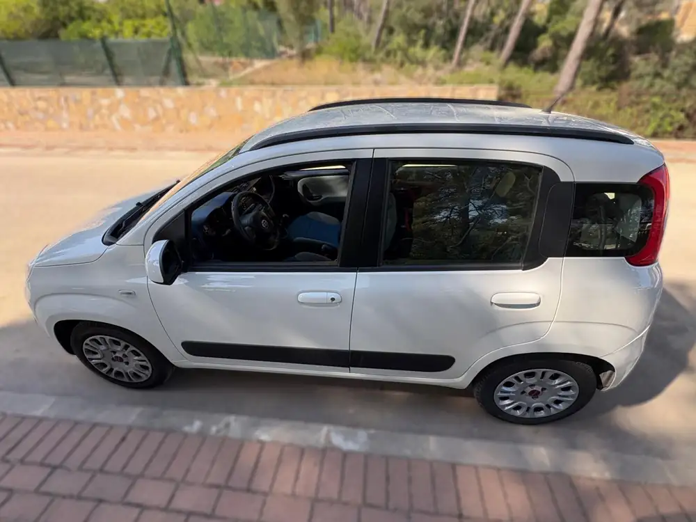 FIAT panda