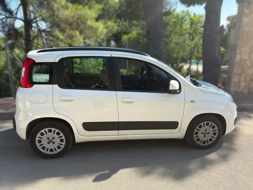 FIAT panda