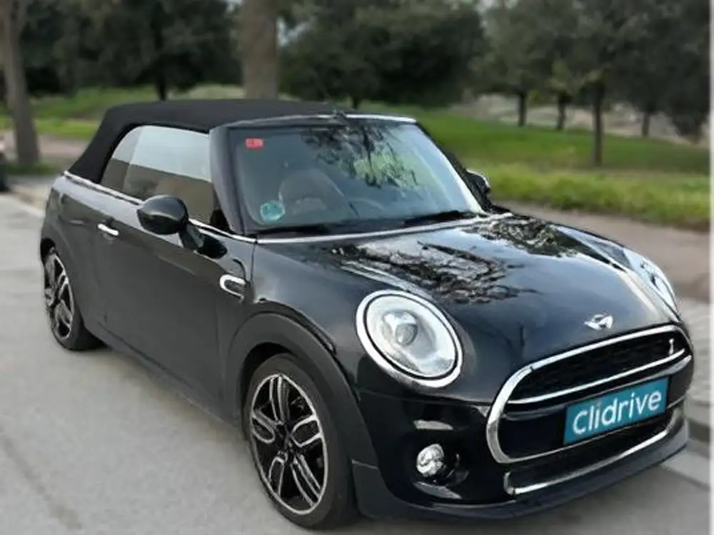 MINI mini