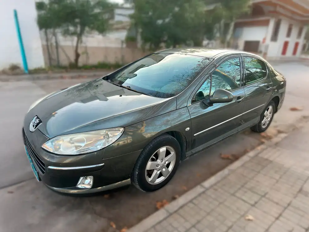 PEUGEOT 407
