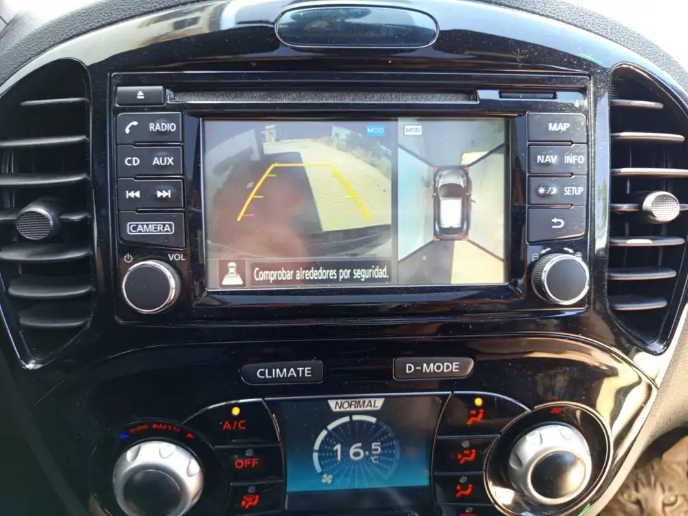 NISSAN juke