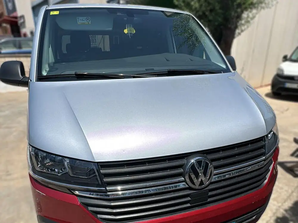 VOLKSWAGEN multivan