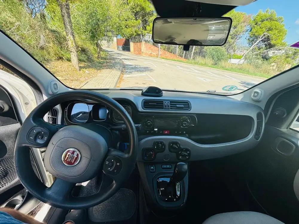 FIAT panda