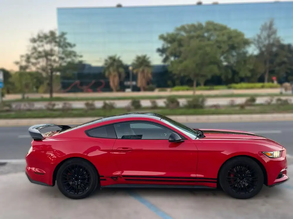FORD mustang